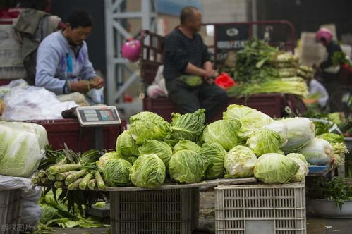 農(nóng)副產(chǎn)業(yè)電商的數(shù)字化升級(jí) 共繪鄉(xiāng)村振興美好未來(lái)